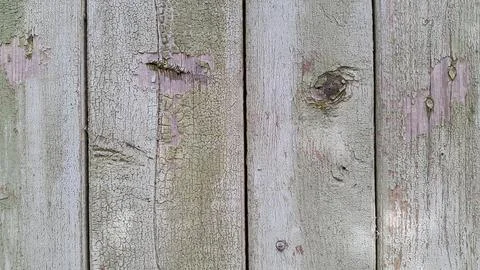 Old wood texture with natural patterns. Vintage wood background Stock Photos