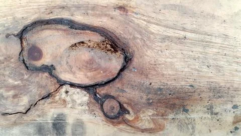 Old wood texture with natural patterns. Vintage wood background Stock Photos