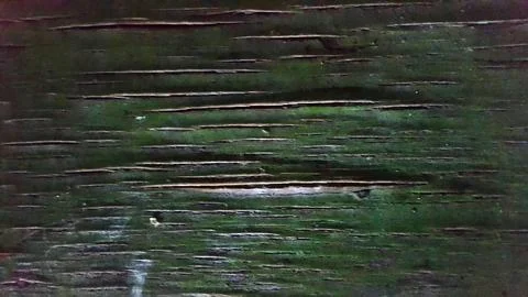 Old wood texture with natural patterns. Vintage wood background Foto stock