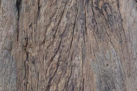 Old wood texture with natural patterns. Abstract background and texture for.. Stock Photos