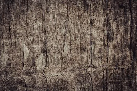 Old wood texture with natural patterns. Abstract background and texture for.. Stock Photos