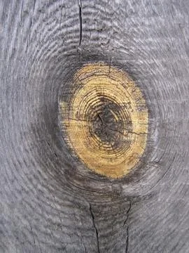 Old wood texture Stock Photos