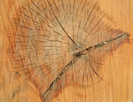 Old wood texture Stock Photos
