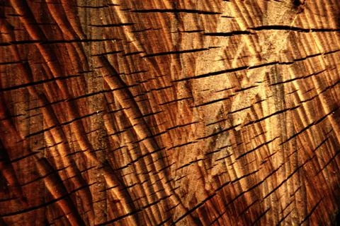 Old wood texture Foto stock