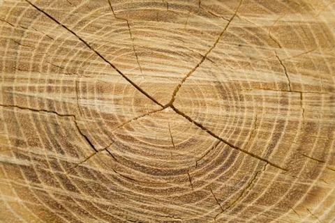 Old wood texture Stock-Fotos