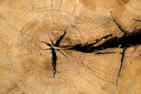Old wood texture Stock Photos