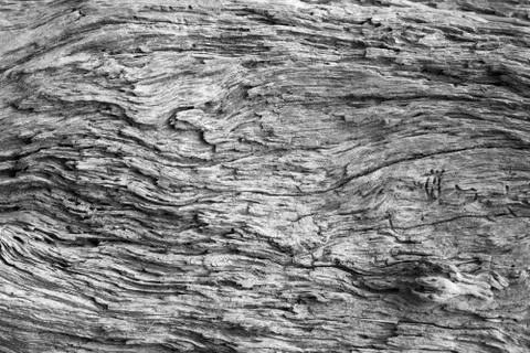 Old wood texture Stock Photos