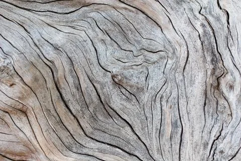 Old wood texture Stock Photos
