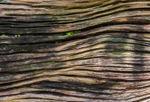 Old wood texture Stock Photos