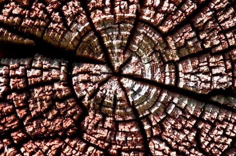Old wood texture Stock Photos