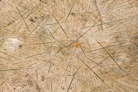 Old wood texture Stock Photos