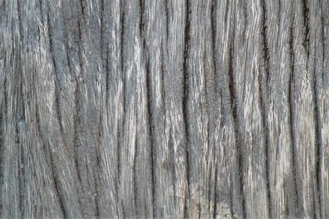 Old wood texture Stock Photos
