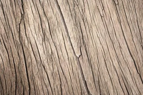 Old wood texture. Stock Photos
