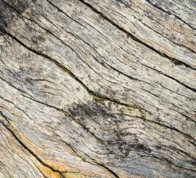 Old wood texture Stock Photos