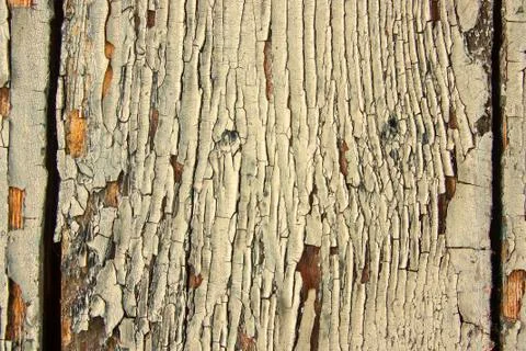 Old wood texture 스톡 사진