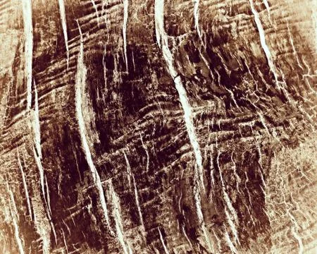 Old wood texture Stock Photos