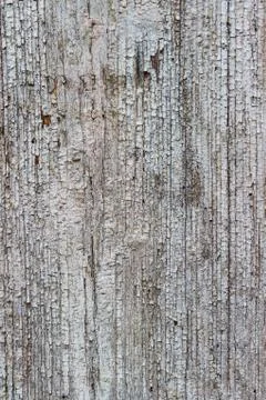 Old wood texture Stock-Fotos