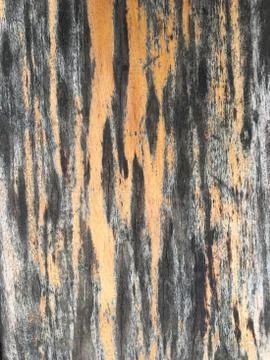 Old wood texture Stock Photos