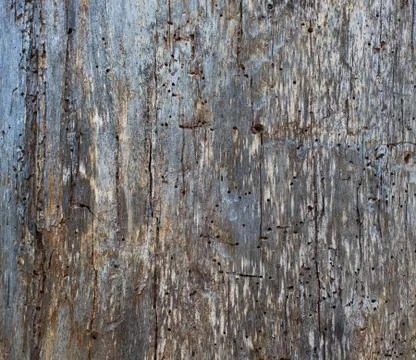 Old wood texture 스톡 사진