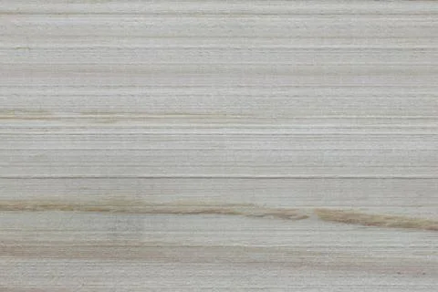 Old wood texture. Stock Photos