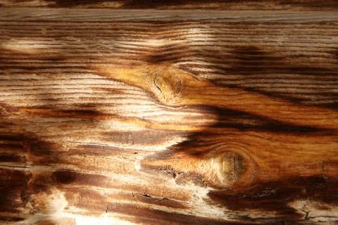 Old wood texture Stock Photos