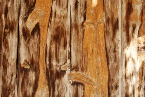 Old wood texture Stock Photos