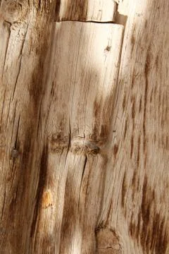 Old wood texture Stock Photos