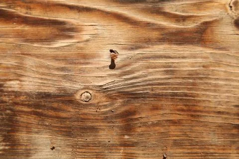 Old wood texture Stock Photos