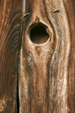 Old wood texture Stock Photos