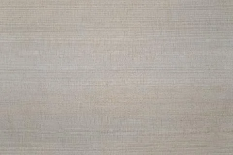 Old wood texture. Stock Photos