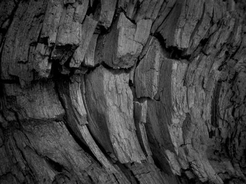 Old wood texture. Stock Photos