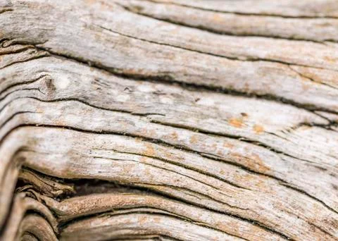 Old wood texture 写真素材
