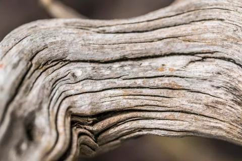 Old wood texture Stock Photos