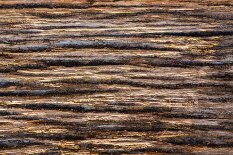Old wood texture. Stock Photos