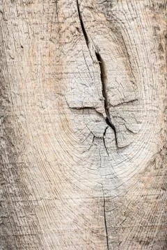 Old wood texture. Stock Photos
