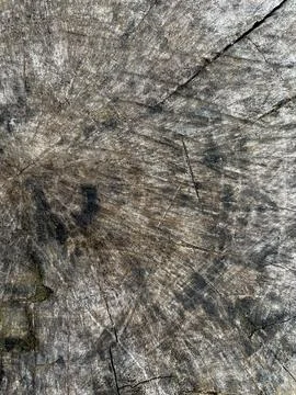 Old wood texture Stock Photos