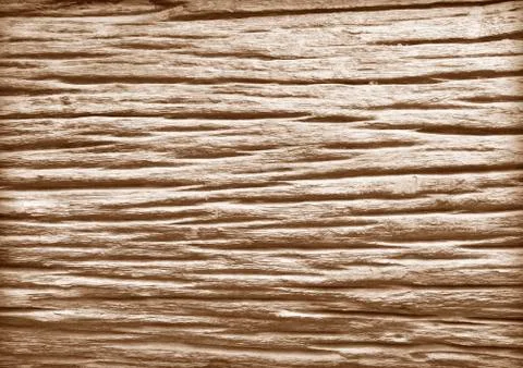 Old wood of the tree Foto stock