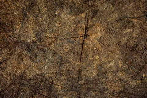 Old wood using for a background Stock Photos