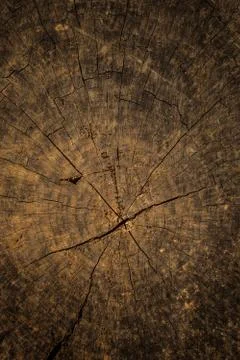 Old wood using for a background Stock Photos