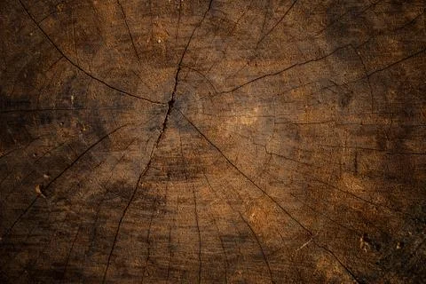 Old wood using for a background Stock Photos