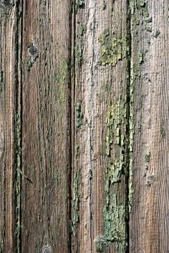 Old wooden background. Photos