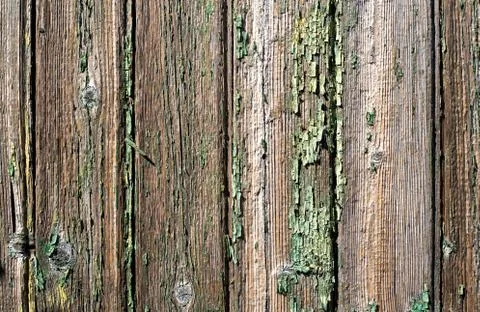 Old wooden background. Photos