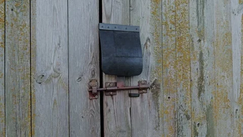 Old Wooden Barn Door with Rustic Metal Bolt and Lichen Covered Weathered Boards Stock Footage 340257797