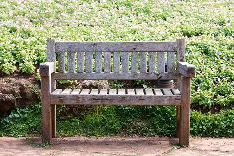 Old Wooden Bench in the garden Stock Photos