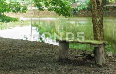 Old wooden bench in park. Stock Photos