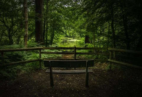 Old wooden bench in the shade with a peaceful view Stock Photos