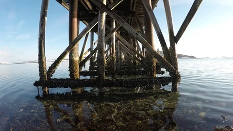 Old wooden bridge underbelly covered in old barnacles with calm waves and sun Stock Footage