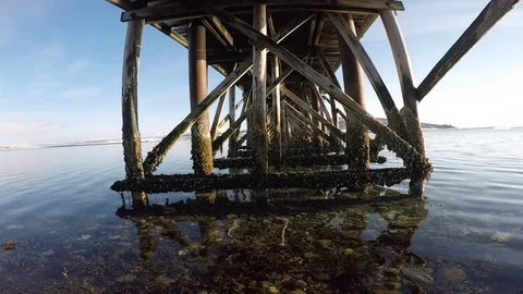 Old wooden bridge underbelly covered in old barnacles with calm waves and sun Stock Footage