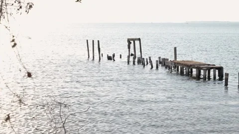 Old Wooden Dock Video stock 319952377