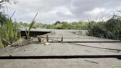 Old wooden dock overlooking tranquil lake detail 库存影片 335540929